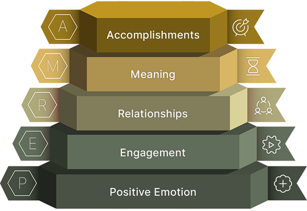 PERMA: Positive emotion, Engagement, Relationships, Meaning, Accomplishments.