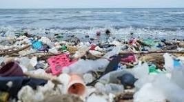 Plastic waste in the natural environment